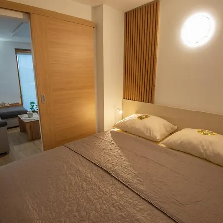 Vineyard Majolka Novo Mesto