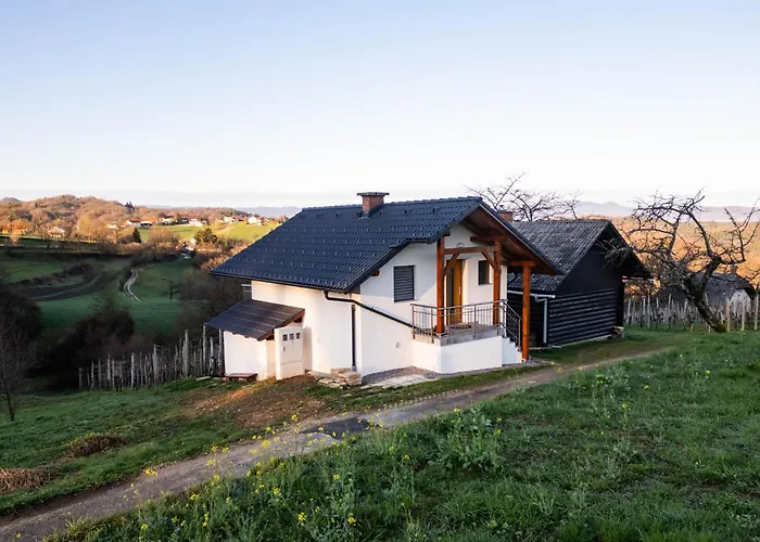 Vineyard Majolka Feriehus Novo Mesto