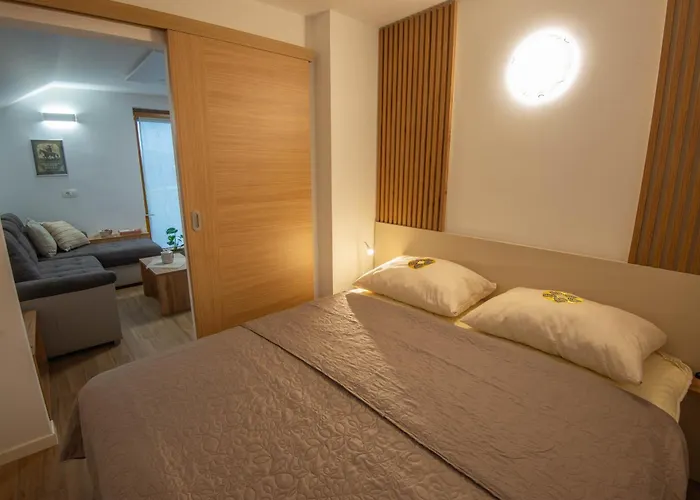 Vineyard Majolka Novo Mesto