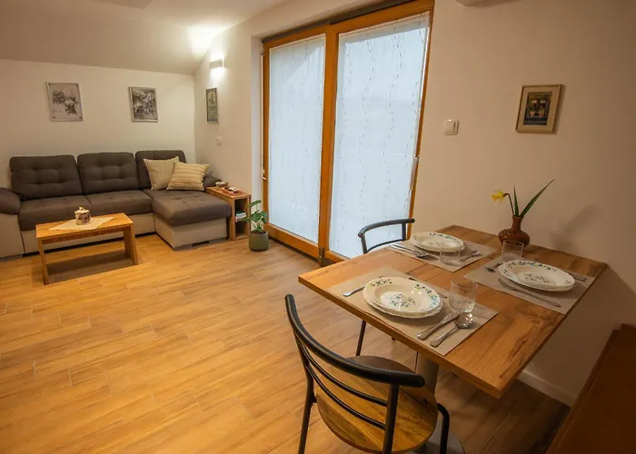 Vineyard Majolka Novo Mesto